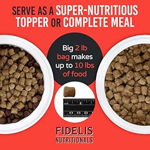 Fidelis freeze dried uncooked canine meals with superfoods for giant canine breeds 32 oz  made in usa with free vary beef grain free excessive protein for grownup or pet   cucciolini doodles