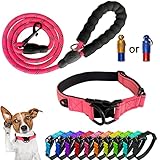💘【Tamaño】Collar ajustable para mascotas para hacer que tu perro sea más cómodo y seguro de llevar. Adecuado para la mayoría de perros.