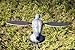 MOJO Pigeon Spinning Wing Dove Decoy for Dove Hunting