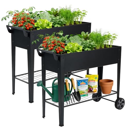 Image of 2-Pack 32 inchHeight Elevated Raised Garden Bed with Wheels & Storage Shelf, 400 Lbs Capacity, Anti-Rust, Space-Saving Planter for Vegetables, Herbs, Patio, Balcony, Backyard