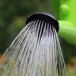 Large Capacity 9L Plastic Watering Can Adjustable Watering Pot Gardening Supplies for Plants and Gardens Indoor Outdoor (Green-9L)