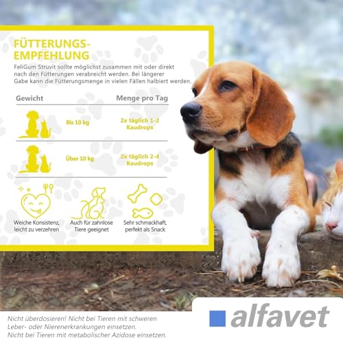 Alfavet FeliGum Struvit 3x160g Hund Katze unterst. Auflösung von Struvitsteinen