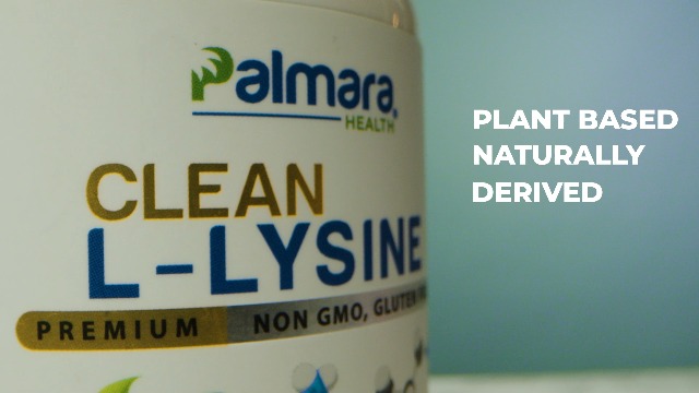 Amazon.com: Palmara Health Clean L-Lysine 600mg, 120 Capsules