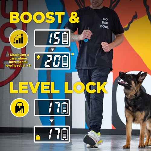 Image of Dogtra E-Collar Tom Davis 280C 2.0 [2025 Edition], Boost & Lock, Waterproof, 1 /2-Mile Range Dog Training Collar with Remote, Rechargeable, 127 Levels, Vibration, Bungee, No Bad Dogs Trainers