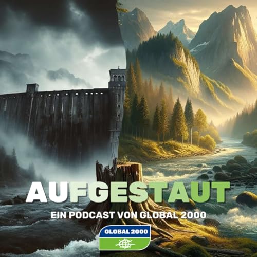 Aufgestaut 07: Die UVP &ndash; Update, Involvement & Vorschau