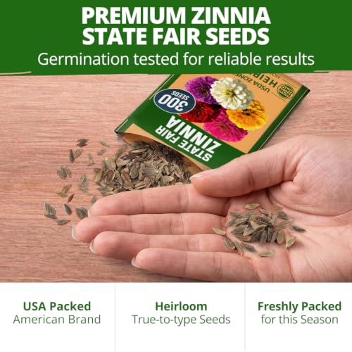 Image of HOME GROWN State Fair Zinnia Seeds, 600 Seeds, Zinnia elegans