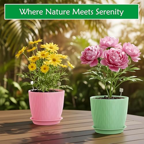 Image of SWAPKART (Pack of 5 6 Inch Plastic Flower Pots for Indoor & Outdoor Terrace,Garden Plants Decorative Planters with Drainage Holes & Matching Saucers Durable & Lightweight (Multicolour)