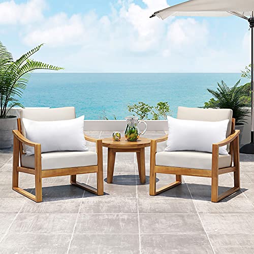 Soleebee Water Resistant Throw Pillow Inserts,Square Set Of 2 Decorative Throw Pillow Inserts,Hypoallergenic Couch Cushion Sham Stuffe (12 X 20 Inches) #TOP4