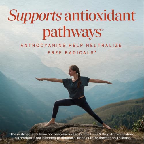 Nature's Way Tart Cherry Ultra Chewables, Antioxidant Support*, 90 ct - image 2