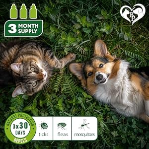 Flea and Tick Prevention for Small Dogs & Cats, Rabbits - Natural Flea Treatment & Pest Control - Topical Flea & Mosquito Repellent for Puppy and Kitten - All Pets Flea and Tick Prevention for Small Dogs & Cats, Rabbits – Natural Flea Treatment & Pest Control – Topical Flea & Mosquito Repellent for Puppy and Kitten – All Pets