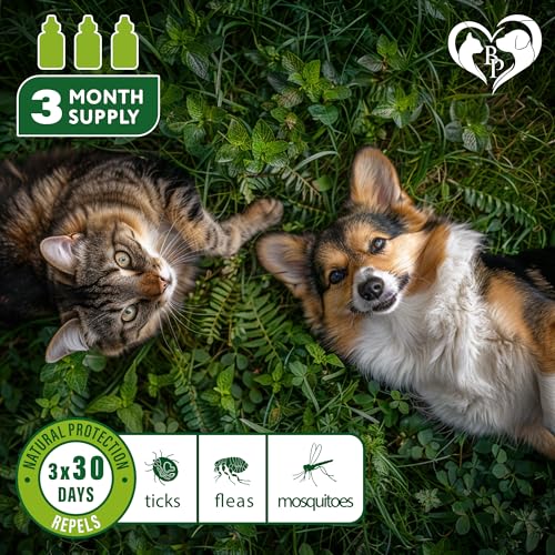 Flea and Tick Prevention for Small Dogs & Cats, Rabbits – Natural Flea Treatment & Pest Control – Topical Flea & Mosquito Repellent for Puppy and Kitten – All Pets Flea and Tick Prevention for Small Dogs & Cats, Rabbits – Natural Flea Treatment & Pest Control – Topical Flea & Mosquito Repellent for Puppy and Kitten – All Pets
