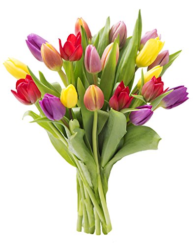 KaBloom-20 Assorted Tulip Bouquet,Flowers for Valentine, Mother's Day