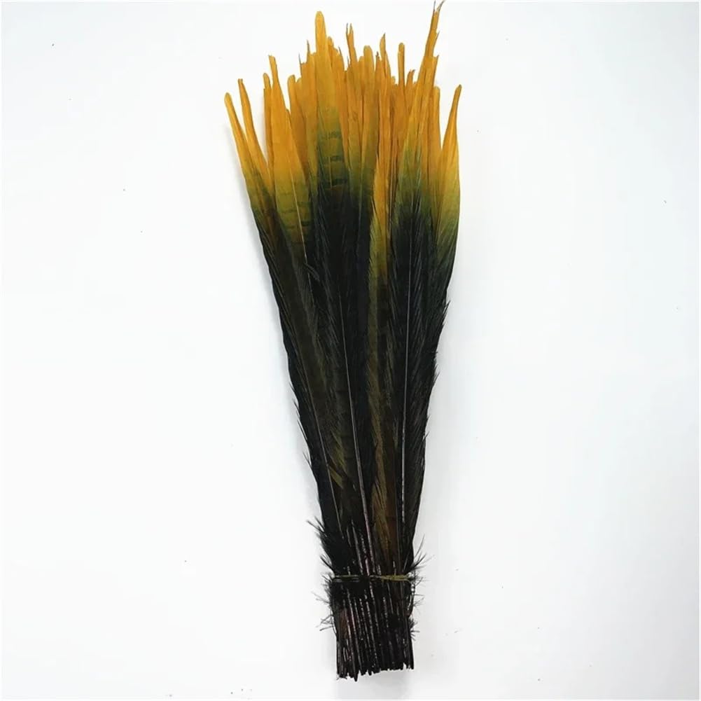 Natural Pheasant Feathers, Natural Ringneck Pheasant Craft Feathers Pack of 100 Multicolor 40-45 cm