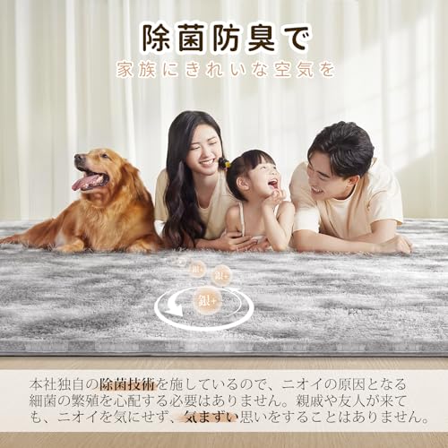 SOMANT カーペット ラグ 2畳 オールシーズン 洗える 低反発 厚手 防ダニ ラグマット 抗菌防臭加工 防音 シャギーラグ 滑り止め付き 暖かい ラグ マット 寝室用リビング 160×200cm ライトグレー ×ホワイト [2]