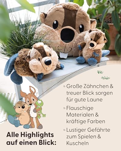 NICI Kuscheltier Biber Harry Woodsnacker 20cm - braun - Weiches Plüschtier – niedliches Stofftier zum Kuscheln & Spielen – tolle Geschenkidee für Kinder & Erwachsene - 62275