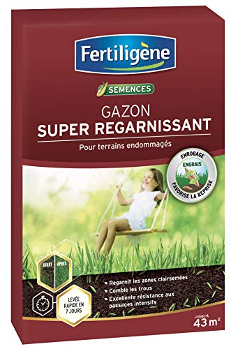 FERTILIGENE REGAR43 Semences Gazon 875 g