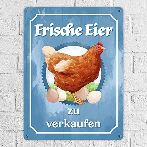 Frische Eier Metallschild XXL in 28x38 cm mit Huhn Motiv für den Bauernladen oder Dekoration am Hühnerstall – Bild 2