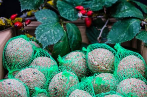 Anhaltiner Meisenknödel 300St. mit Netz mit Insekten Rindertalg Wildvögel Fett