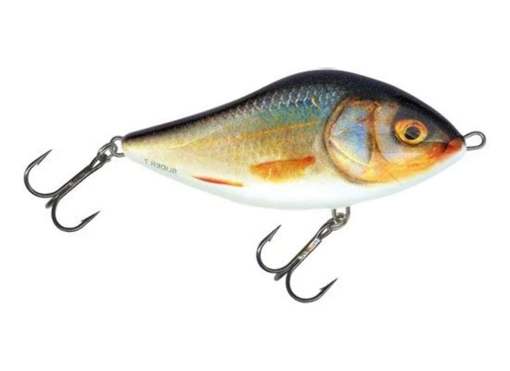 Salmo Slider Floating Real Roach 10cm Lure
