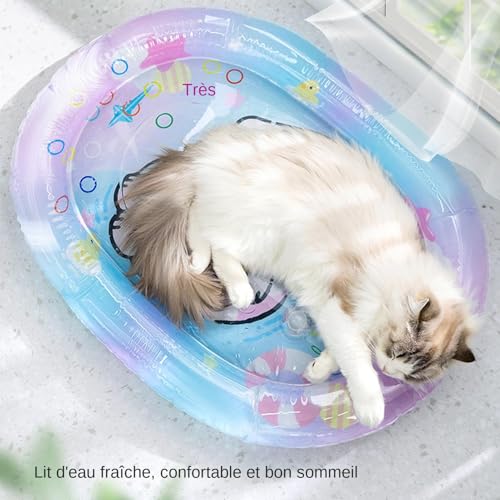 Jouet d'eau de chat sensoriel rectangle Tapis de jeu rafraîchissant pour félin - 4