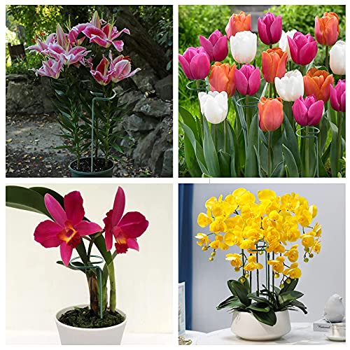 image for Joyhalo Plant Support Stakes, 12 Pack 15.7 inch Flower Stakes, Garden 