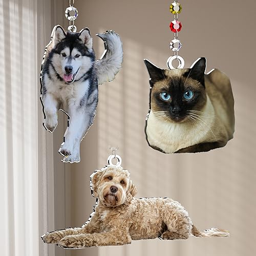 Bivei Personalized Halloween Decorations Dogs/Cats, Suncatcher with Pet Picture & Name, Stained Acrylic Glass Light Catcher, Window Hangings Ornaments, Pet Sympathy Gifts Keepsake for Cat/Dog Lover