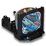 Type : module de remplacement de la lampe du projecteur (garantie : 4 mois)
