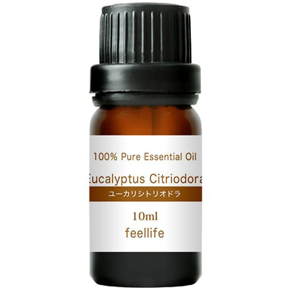 Amazon.co.jp: ユーカリシトリオドラ レモンユーカリ ユーカリレモン