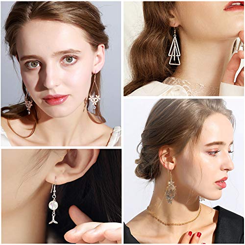 Anezus Earrings Hooks For Jewelry Making, 2000Pcs Earring Making Supplies Kit With Fish Hook Earrings, Earring Cards, Jewelry Plier, Earring Backs And Jump Ring For Jewelry Making And Earring Repair #TOP5