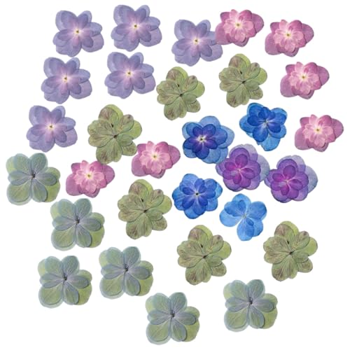 Flores prensadas de hortensia multicolor para manualidades 30 piezas miniatura 1