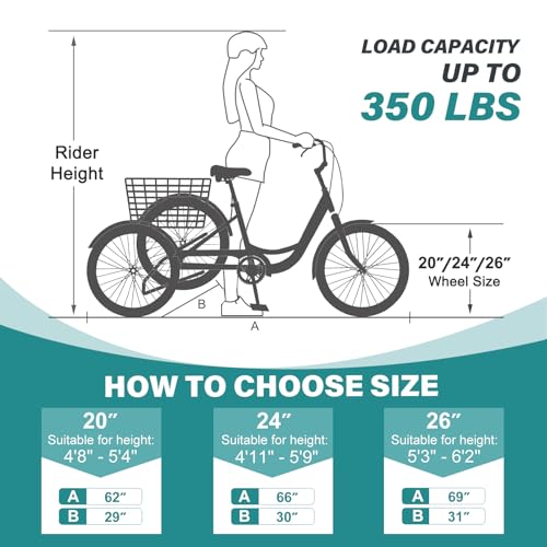 MOPHOTO Adult Tricycle
