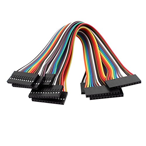 5 conectores Jumper Wire hembra 12 pines 20cm miniatura 1
