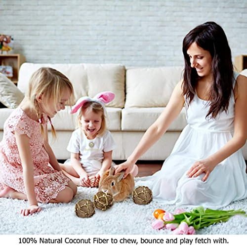 Image of SunGrow Assorted Rabbit & Cat Chew Balls, Teething Activity Toy for Pocket Pets, Improves Dental Health, Environment Friendly, Stress Reliever (Coconut Fiber, 3 Pcs)