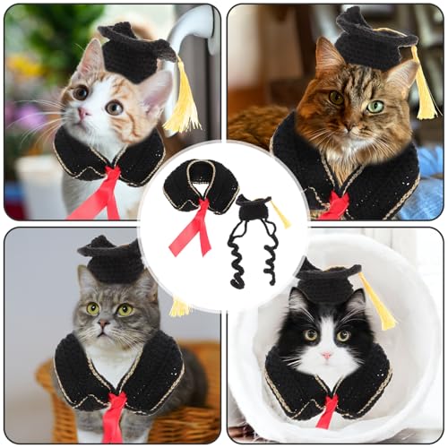 Disfraz Graduación para Perros y Gatos Talla M miniatura 7