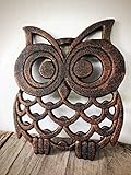Copper Owl Trivet – Modern Table Decor - Cute Kitchen Accessory - Large Hot Pad with Rubber Feet