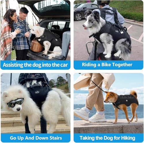 Wakytu Hundefördergurt Sling Lift ideal für Haustiersupport Rehabilitation mit verstellbarem Polster atmungsaktivem Riemen zum Spazierengehen für Hunde mit Behinderungen verminderter Stabilität 7-15kg