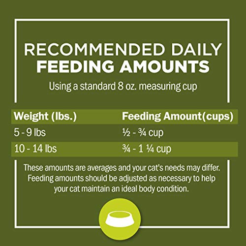 10 Best Dry Cat Foods (2023 Reviews) My Pet Likes It