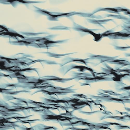 Pochette de The Call - Vinyle 180gr