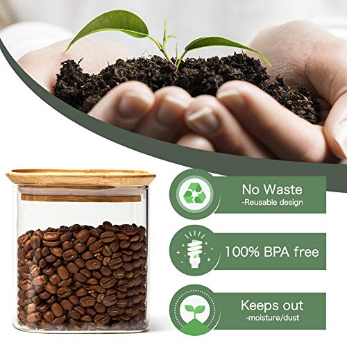 Ezoware 24Oz Square Clear Glass Jars With Airtight Bamboo Lid, Set Of 6 Stackable Kitchen Pantry Food Storage Canister Containers For Candy, Cookie, Rice, Sugar, Flour, Pasta, Nuts -700Ml #TOP4