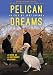 Pelican Dreams