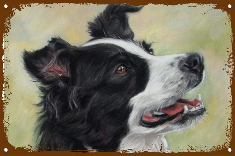 skygvvege Metal Tin Plates,Dog Border Collie Animal, Vintage Signs Plate, Decor Wall of Kitchen Sitting and Dining, Europen Style