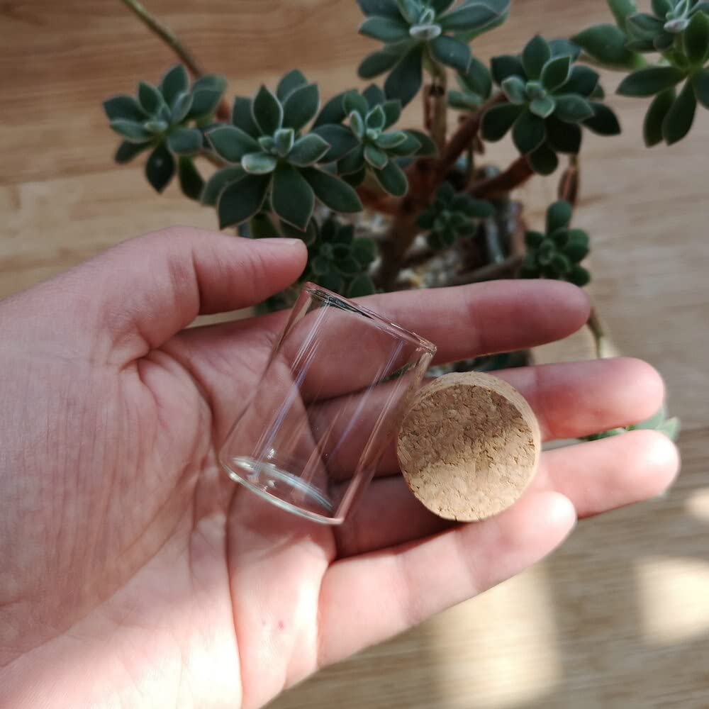 25 mini botellas de vidrio de 15 ml con corcho for deseos: frascos transparentes for almacenar tubos de ensayo, manualidades y regalos de boda.