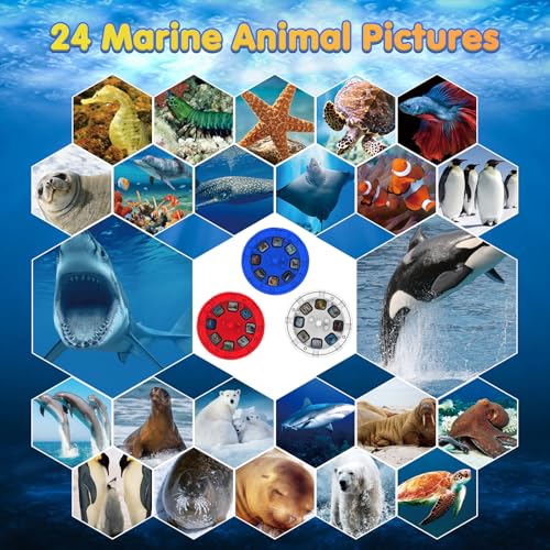 Image of Pup Go Flashlight Discs for Kids Age 3 4 5 6 7 8 Years, 9 Discs 72 Images, 3 Themes: Wild Animals, Sea & Space, Boxed Set for Easy Storage, Ideal Accessories for Our Dinosaur Torch Projector Toy