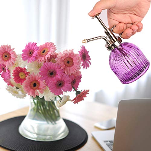 Ulikey Plantensproeier, spuitfles glas bloem water spray fles pot vintage stijl bloemenspuit waterspuitfles pomp… - Afbeelding 5