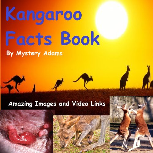 Kangaroos Facts Book for Kids Amazing Fun Facts About Kangaroos eBook