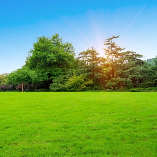semillas de césped resistentes al invierno macetas plantas raras semillas de cobertura del suelo resistentes, semillas de plantas semillas de prados de flores plantas resistentes en 500pcs