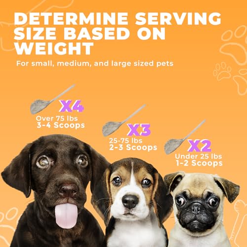 Cat-Dog-Teeth-Cleaning-Powder-Dog-Breath-Freshener-Perfect-for-Dog-Bad-Breath-Treatment-Plaque-Off-Tartar-Remover-Pure-Clean-Pet-Dental-Care-30-Scoops - Cucciolini Doodles   Cat-Dog-Teeth-Cleaning-Powder-Dog-Breath-Freshener-Perfect-for-Dog-Bad-Breath-Treatment-Plaque-Off-Tartar-Remover-Pure-Clean-Pet-Dental-Care-30-Scoops