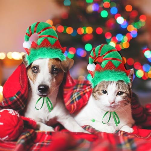 Disfraz Navideño de Duende para Perro con Banda LED miniatura 6