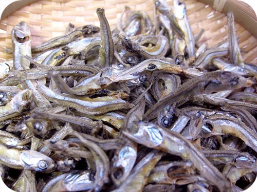 Amazon.co.jp: にぼし 500g (カタクチイワシの煮干し、いりこだし 