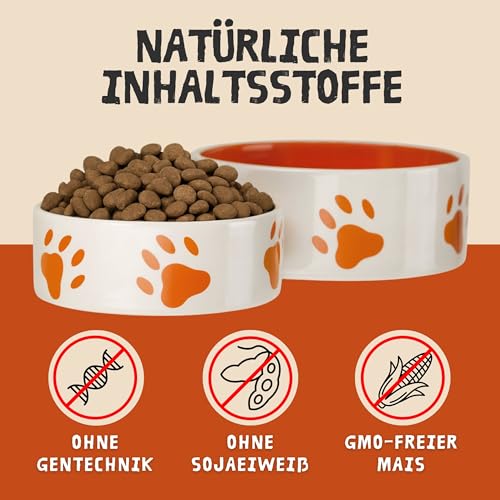 Ropo Dog Hunde Trockenfutter 15 kg – für ältere Hunde ab 7 Jahren, Senioren-Kräcker Vollnahrung mit Lecithin, leicht verdaulich, ohne künstliche Zusätze, Premium-Qualität für alle Rassen